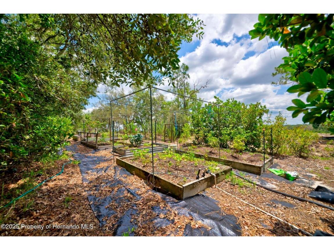 11422 Warm Wind Way Weeki Wachee FL 34613 W7878349 image49