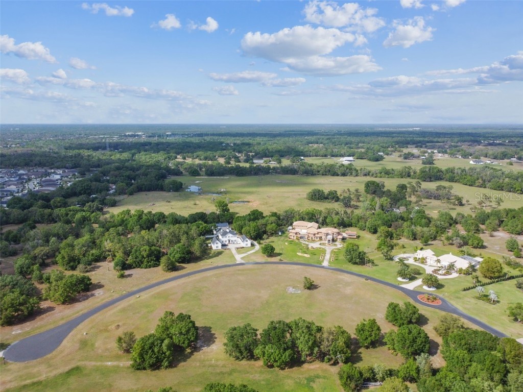 11423 Hammock Oaks Court Lithia FL 33547 T3434069 image1