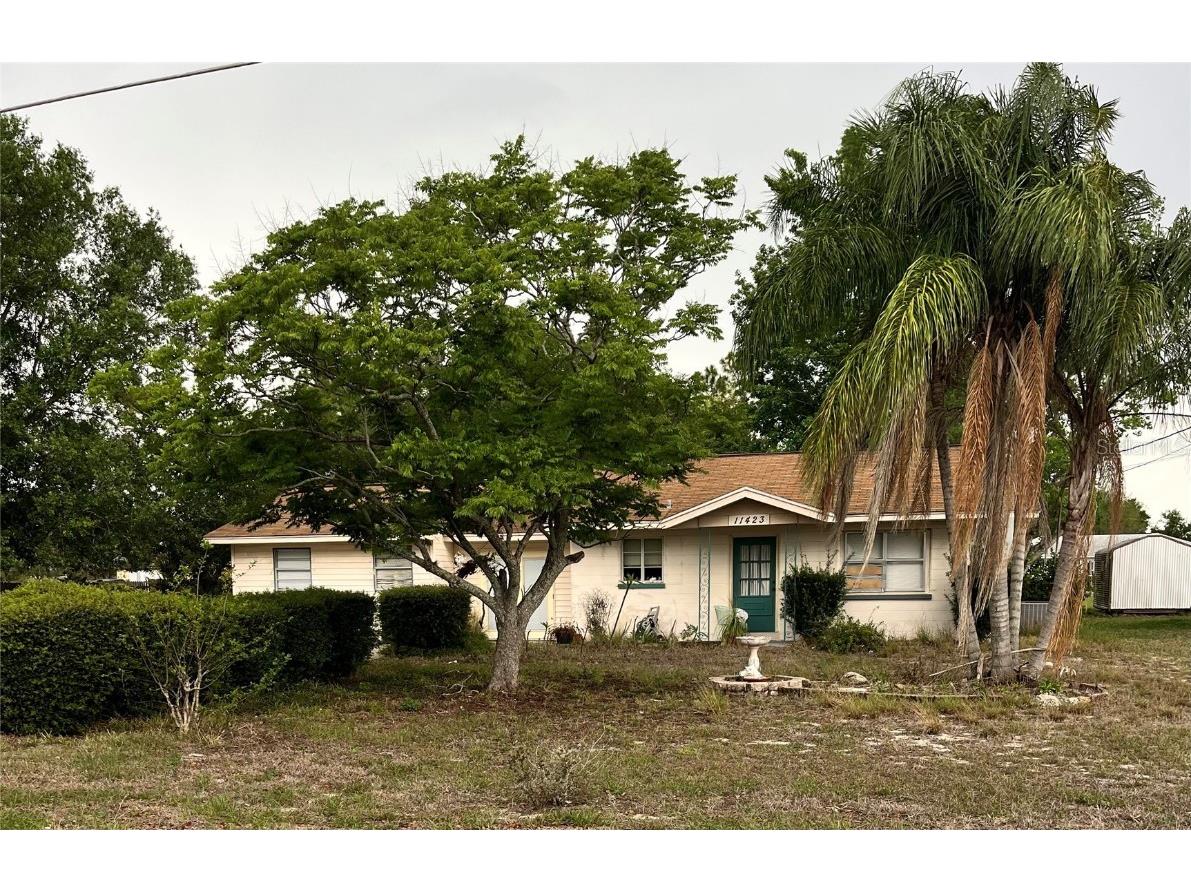 11423 Layton Street Leesburg FL 34788 OM657056 image1