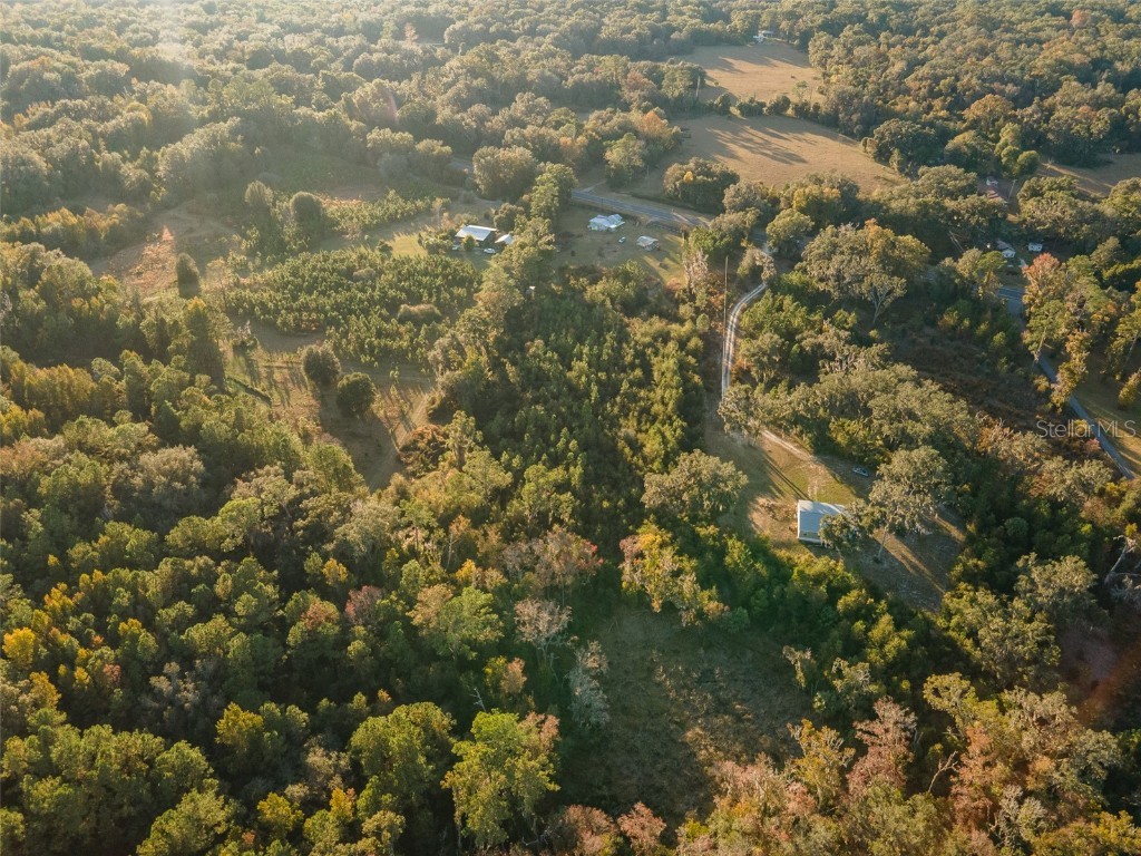 11423 SW Williston Road Micanopy FL 32667 GC535372 image34