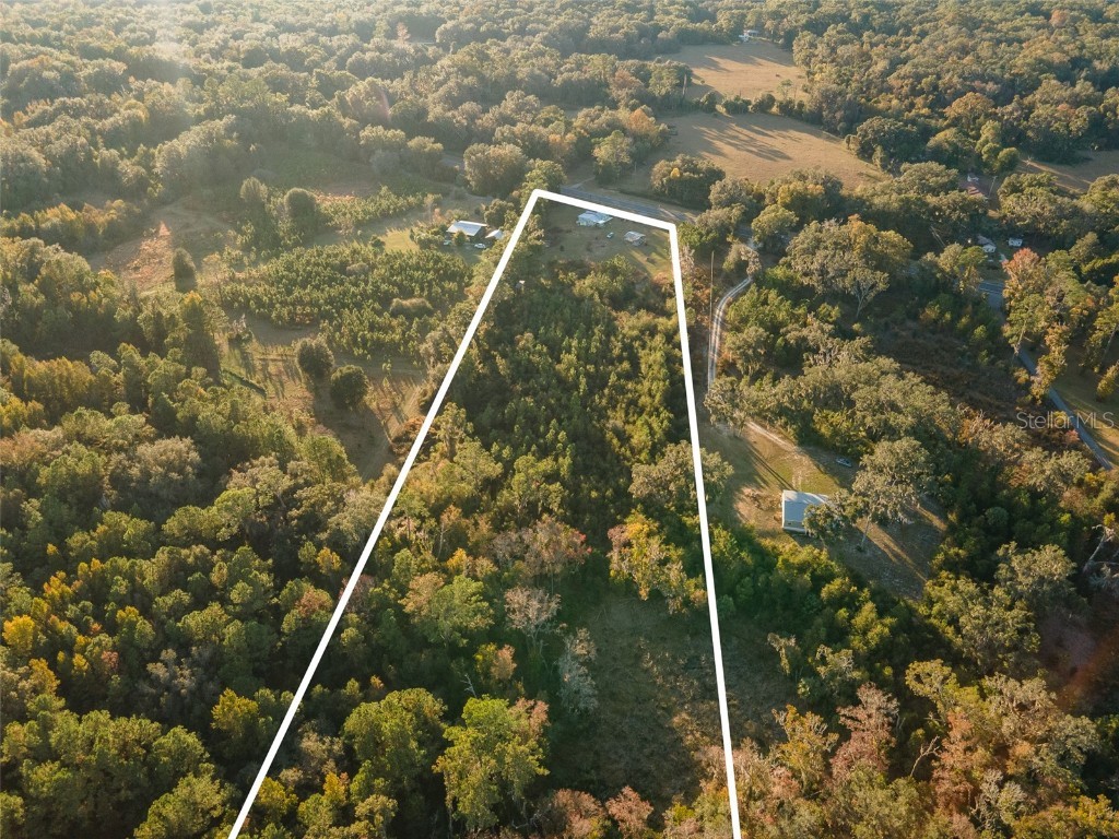 11423 SW Williston Road Micanopy FL 32667 GC535372 image35