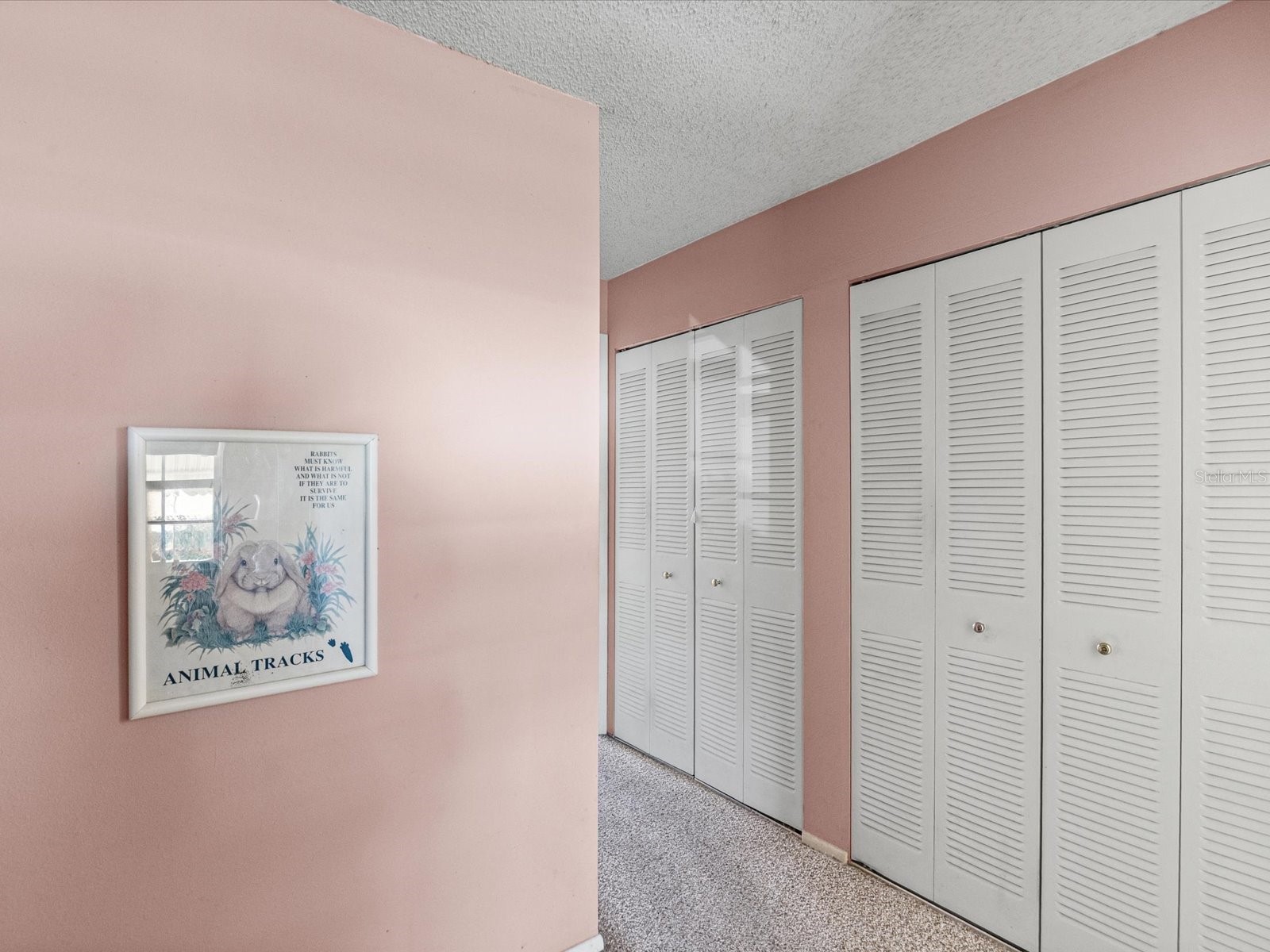11423 Wheeling Drive Tampa FL 33625 W7884864 image19