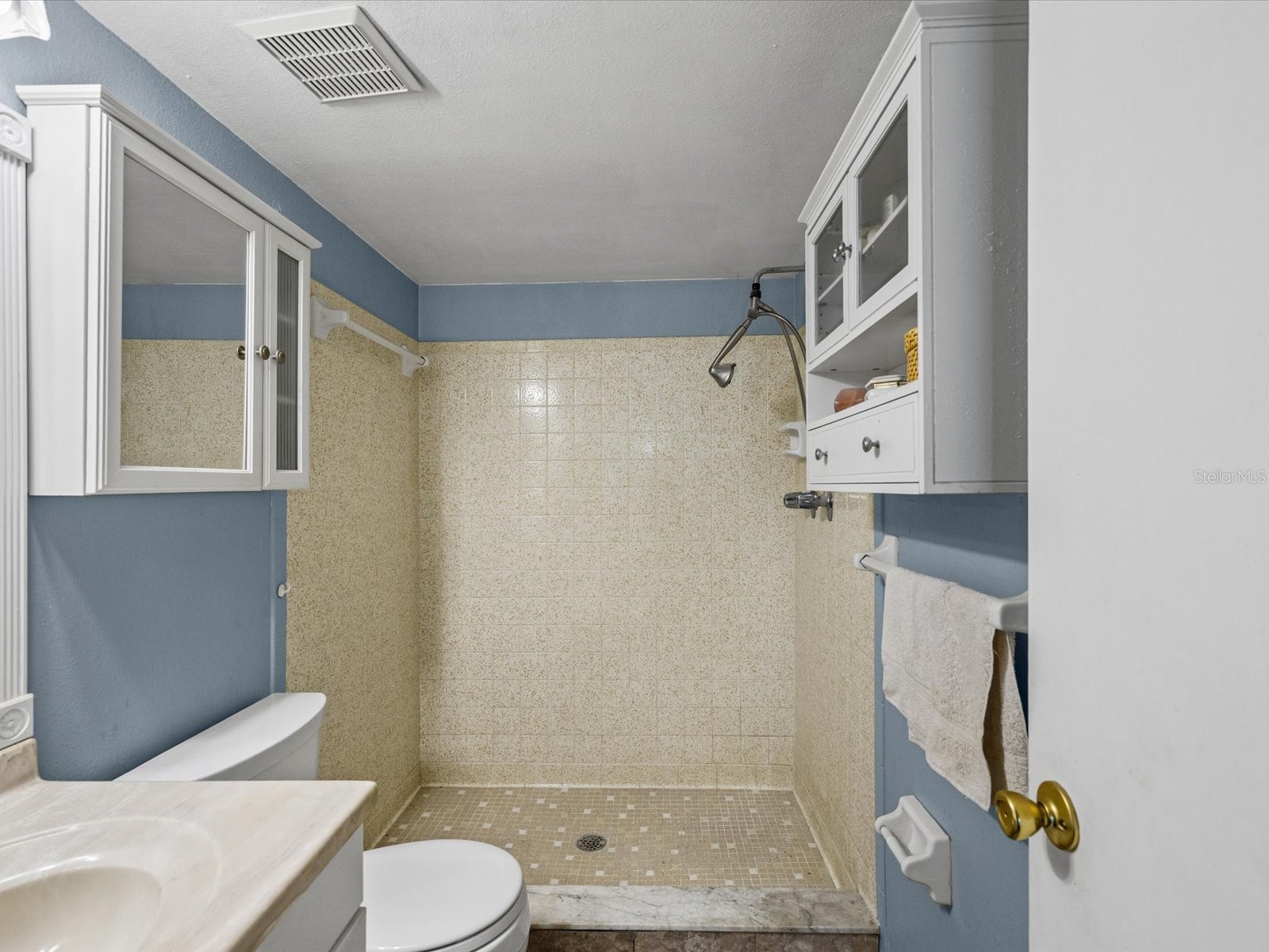 11423 Wheeling Drive Tampa FL 33625 W7884864 image20