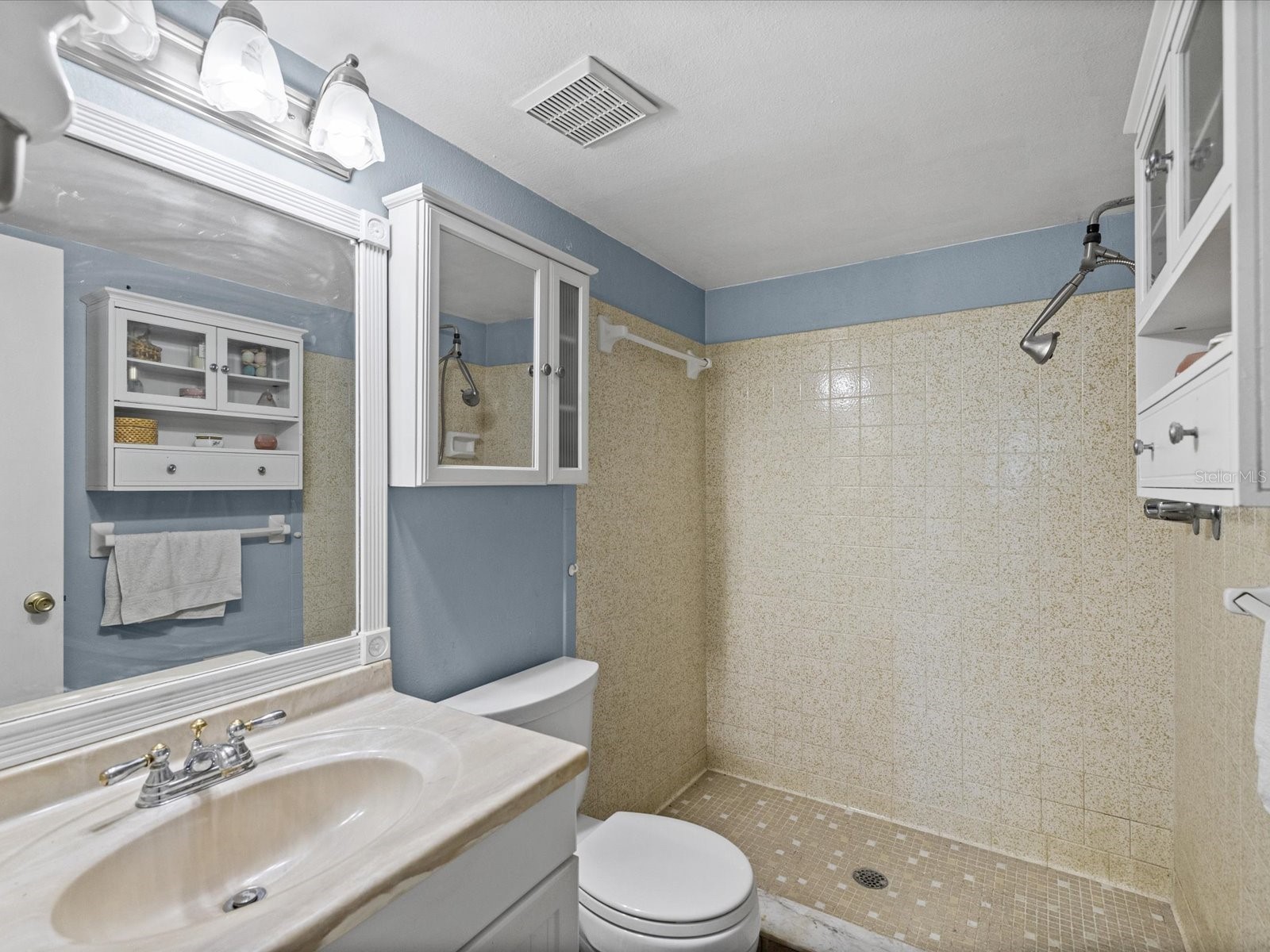 11423 Wheeling Drive Tampa FL 33625 W7884864 image21