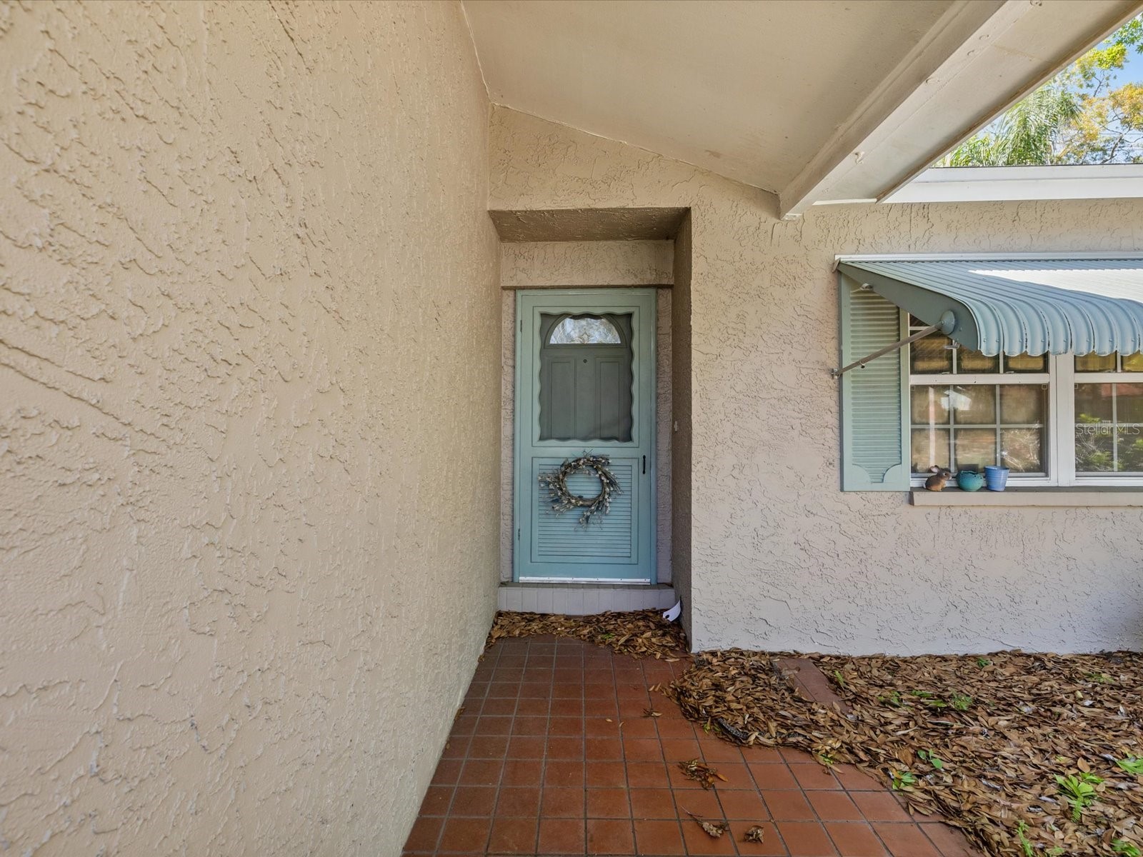 11423 Wheeling Drive Tampa FL 33625 W7884864 image5