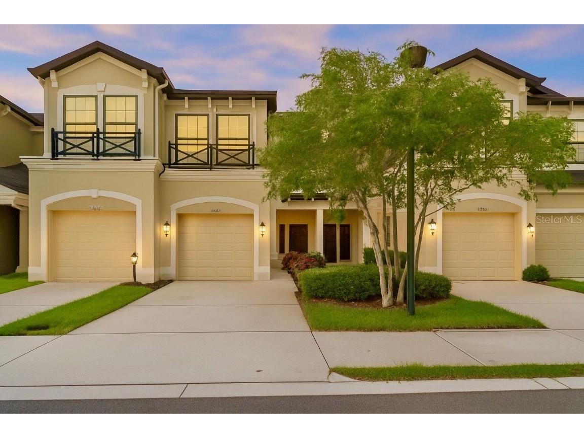 11424 Crowned Sparrow Lane Tampa FL 33626 TB8436115 image1