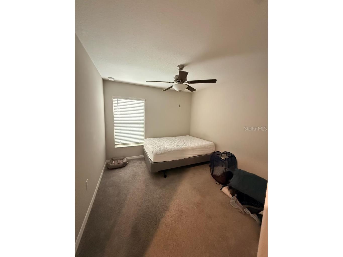 11424 Sage Canyon Drive Riverview FL 33578 TB8497423 image22
