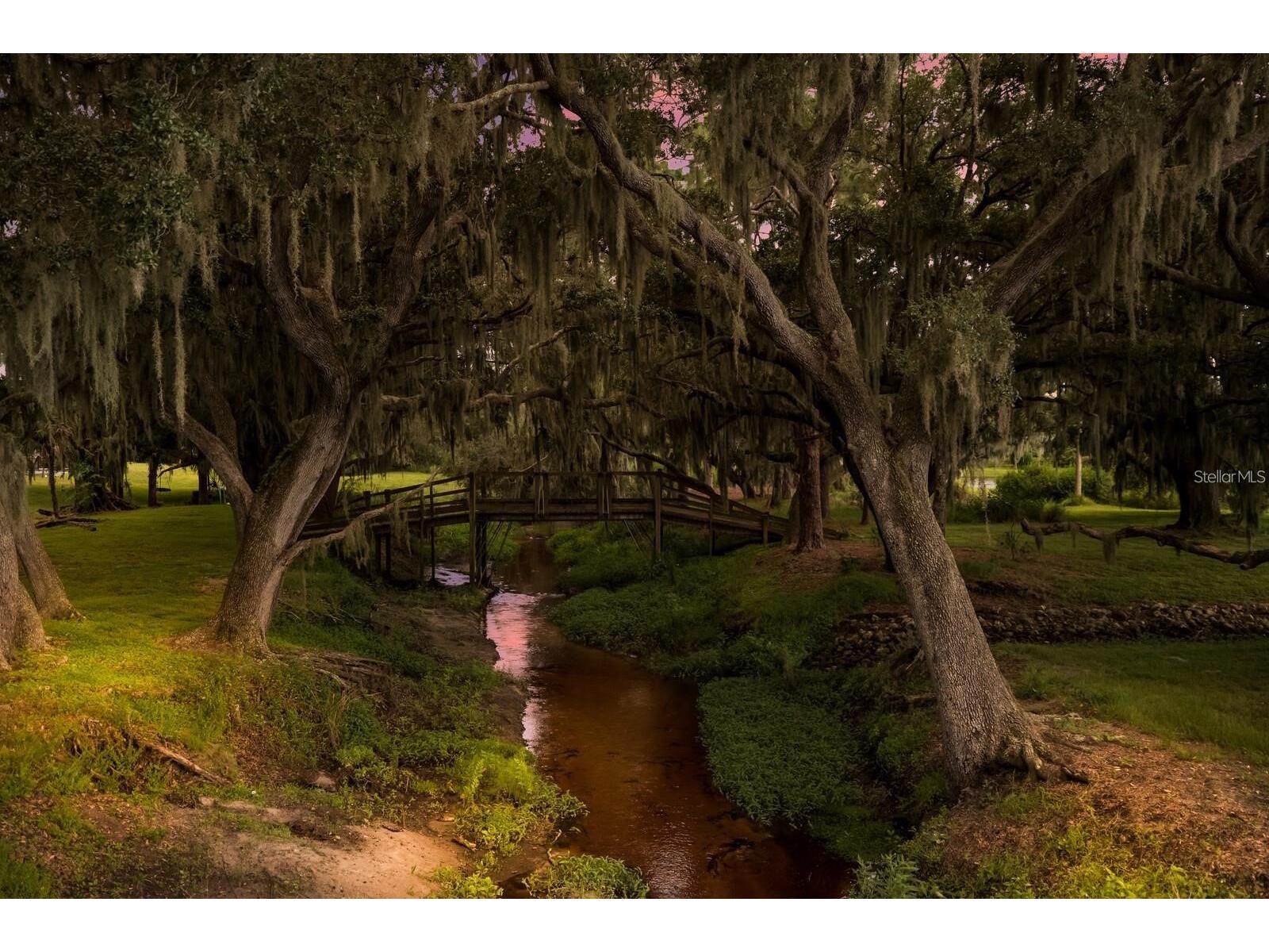 11424 Sweetgrass Drive Bradenton FL 34212 TB8527935 image17