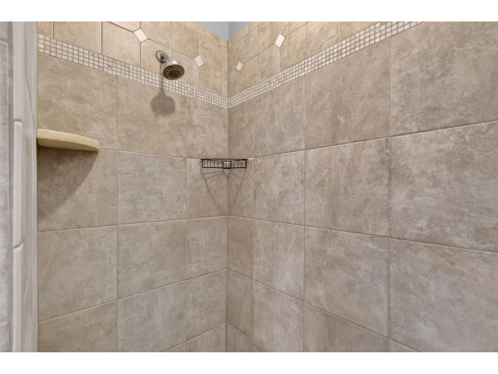 11424 Via De Renee Pl Clermont FL 34711 - Crescent G5112591 image20