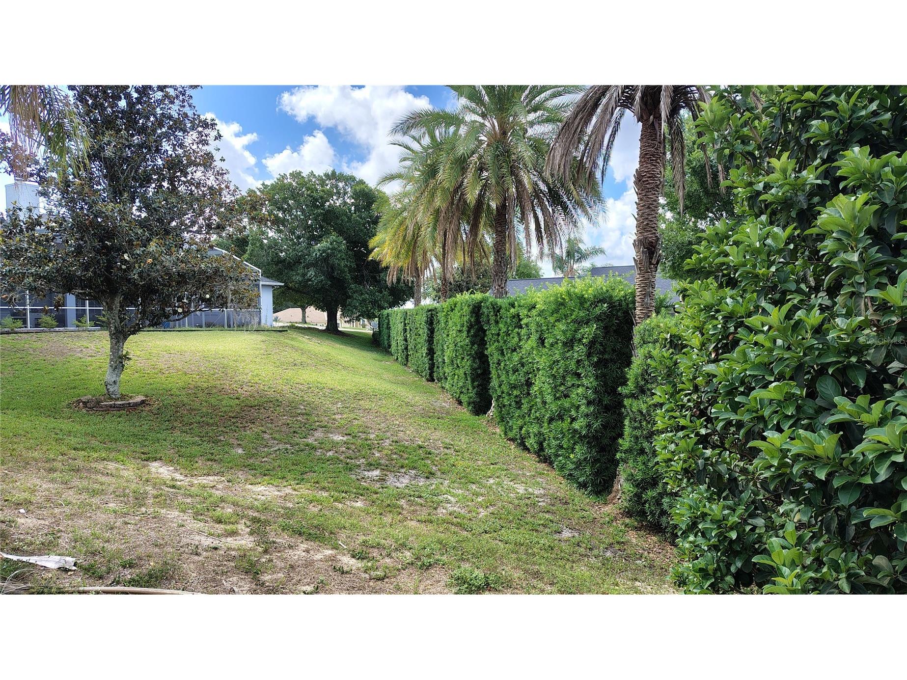 11424 Via De Renee Pl Clermont FL 34711 - Crescent G5112591 image36