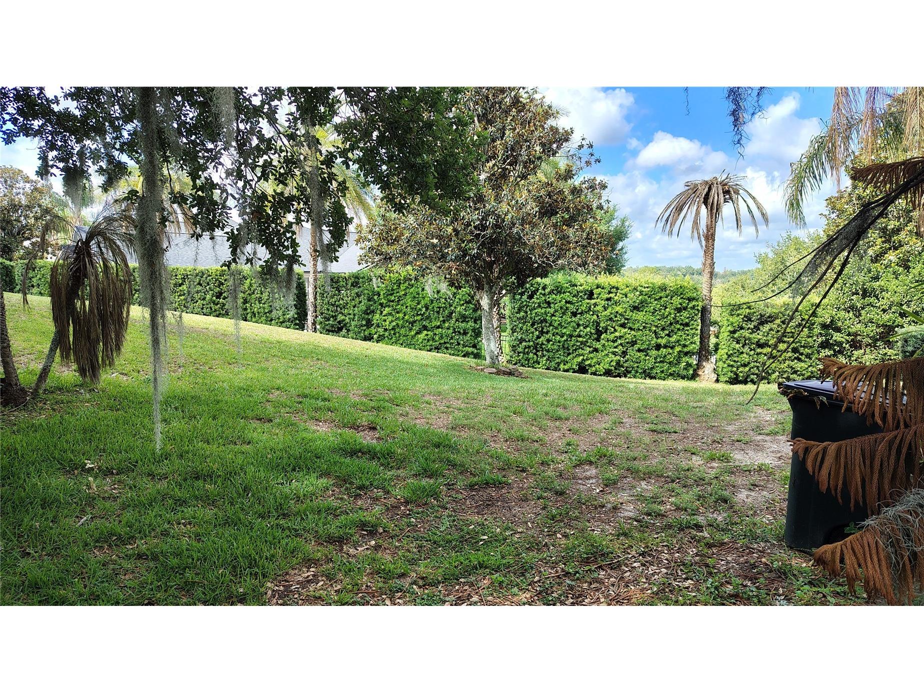 11424 Via De Renee Pl Clermont FL 34711 - Crescent G5112591 image37
