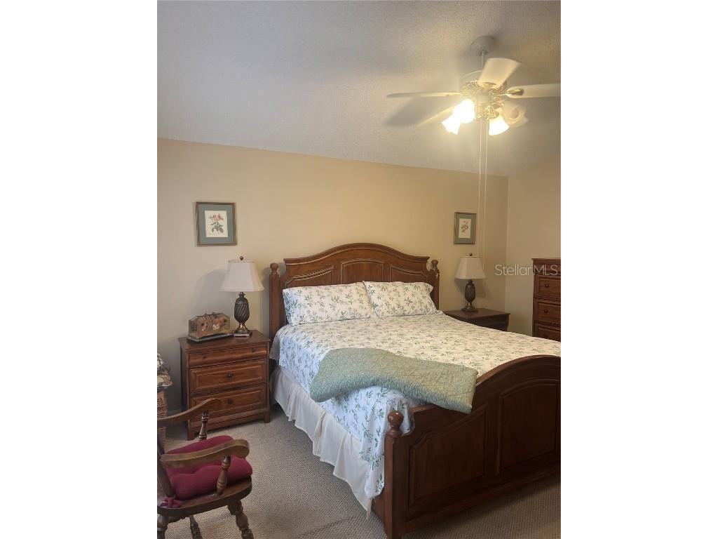 11425 Billingham Boulevard Spring Hill FL 34609 TB8346669 image15