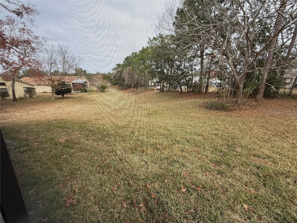 11425 Billingham Boulevard Spring Hill FL 34609 TB8346669 image44