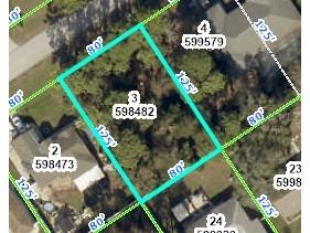 11426 Janet Avenue Spring Hill FL 34608 W7866830 image1