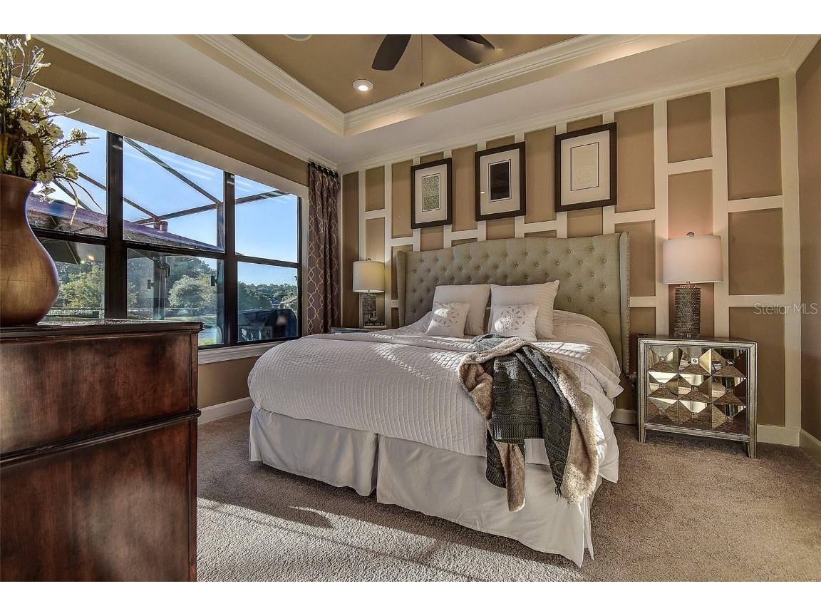 11426 Juglans Drive Odessa FL 33556 W7878845 image10