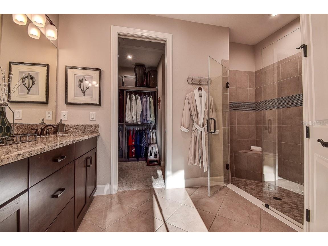 11426 Juglans Drive Odessa FL 33556 W7878845 image15