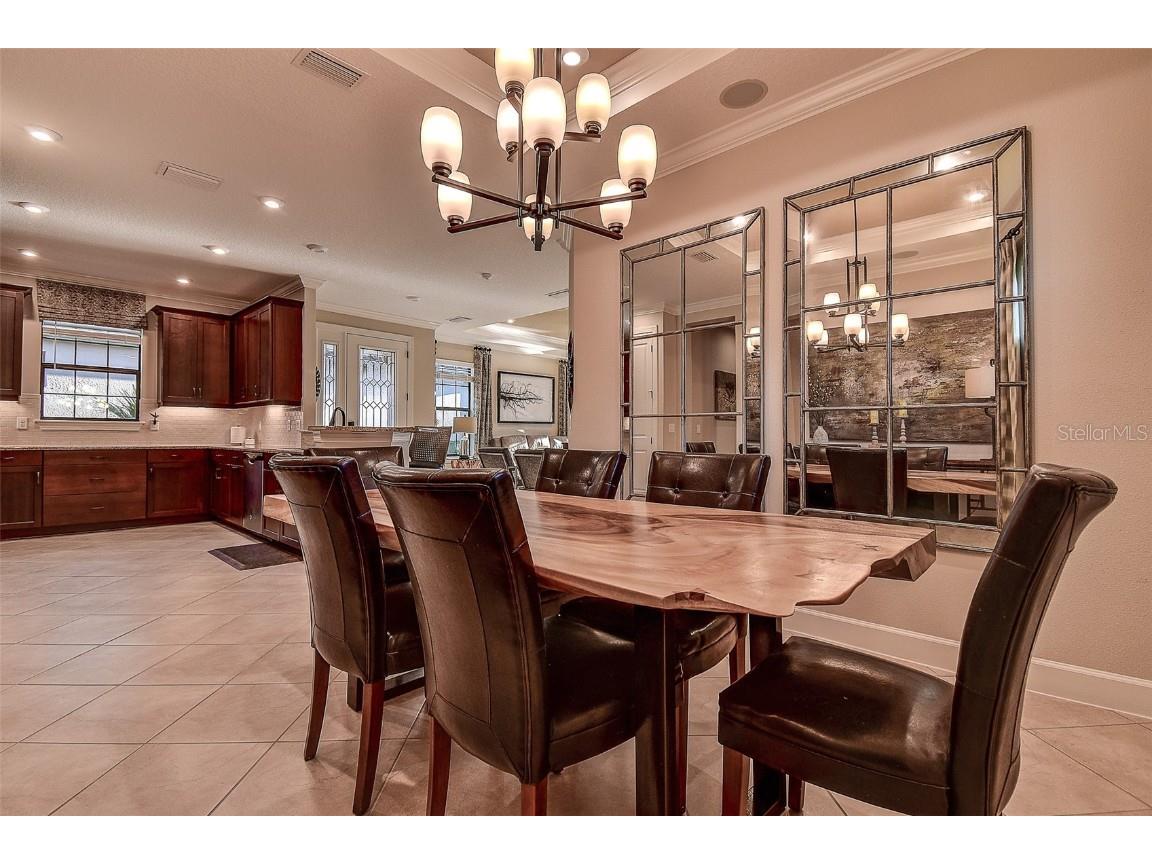 11426 Juglans Drive Odessa FL 33556 W7878845 image24