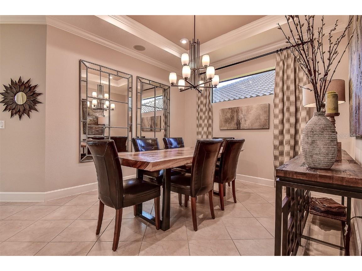 11426 Juglans Drive Odessa FL 33556 W7878845 image25