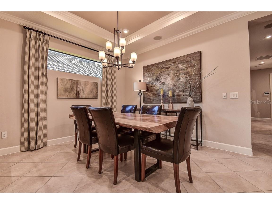 11426 Juglans Drive Odessa FL 33556 W7878845 image26