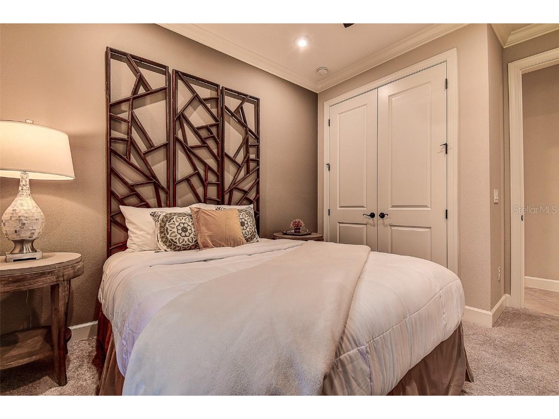 11426 Juglans Drive Odessa FL 33556 W7878845 image29