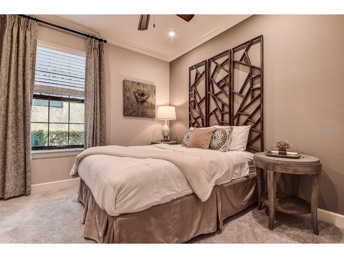 11426 Juglans Drive Odessa FL 33556 W7878845 image30