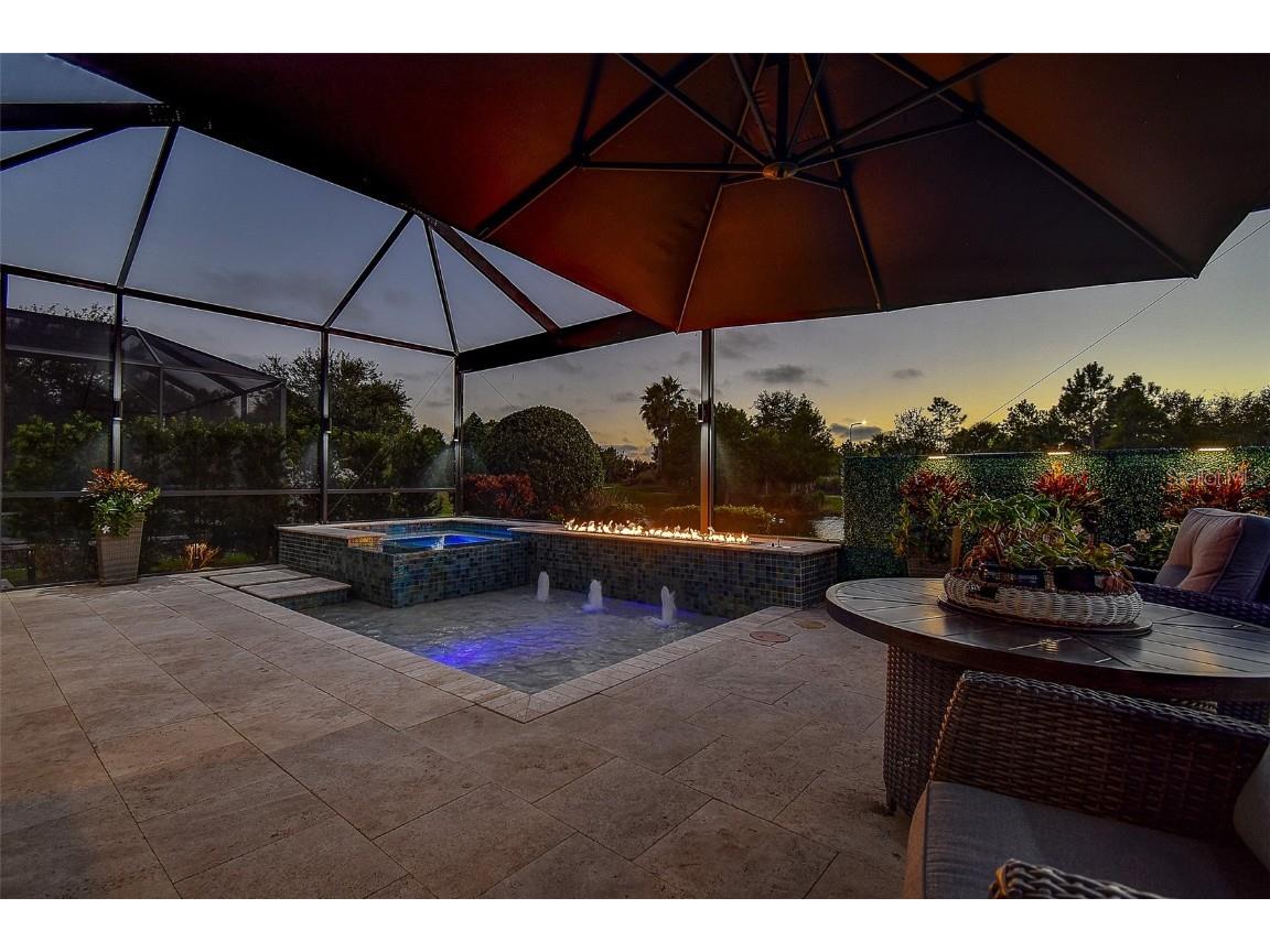 11426 Juglans Drive Odessa FL 33556 W7878845 image43