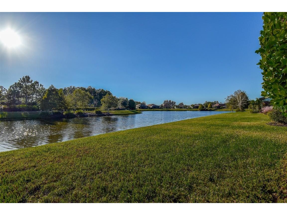 11426 Juglans Drive Odessa FL 33556 W7878845 image44