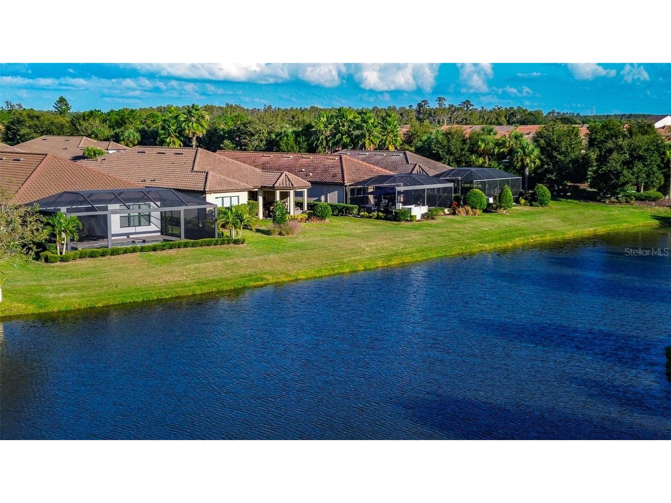 11426 Juglans Drive Odessa FL 33556 W7878845 image46