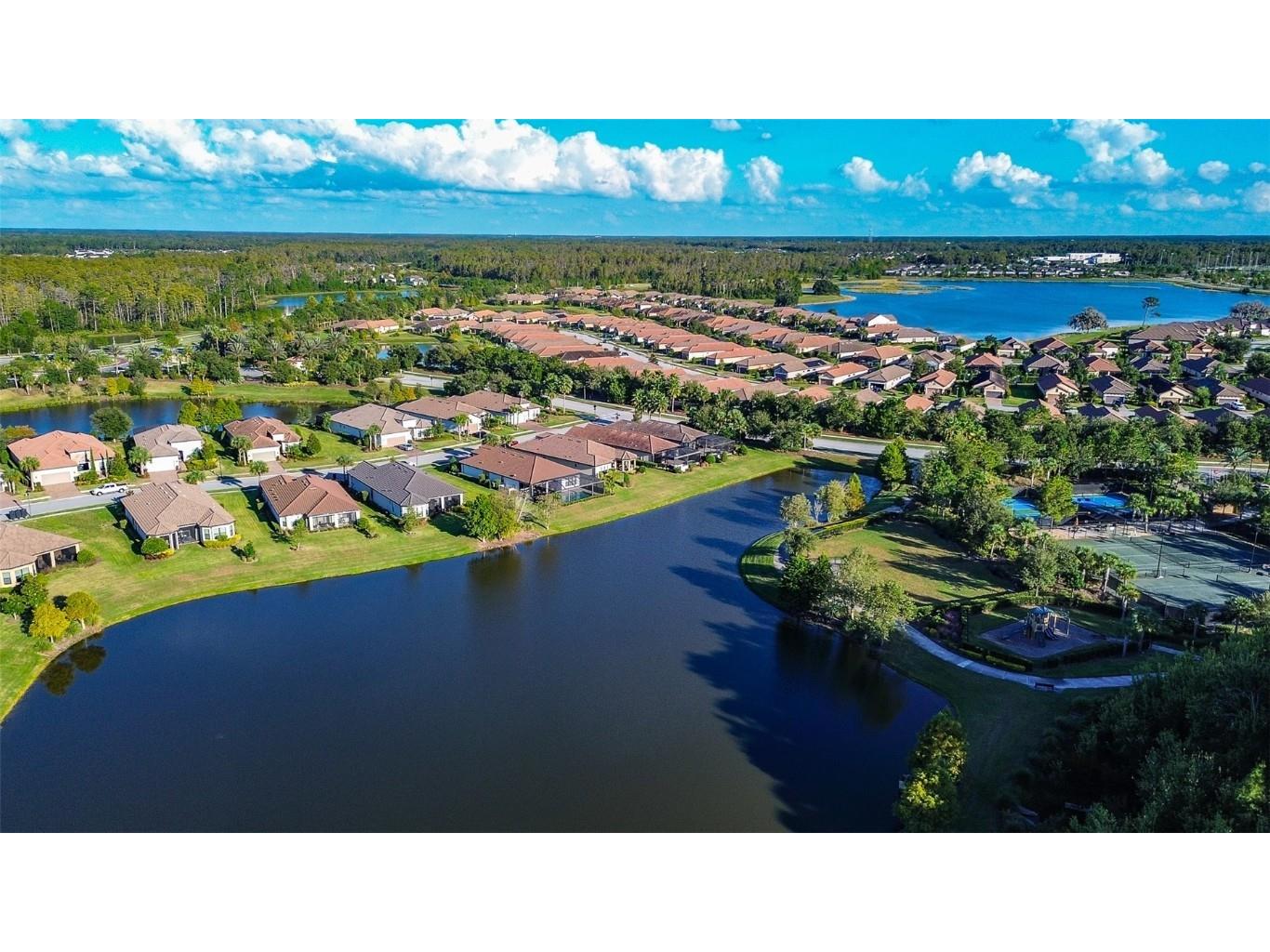 11426 Juglans Drive Odessa FL 33556 W7878845 image47