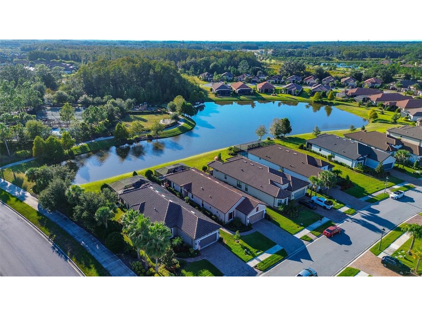 11426 Juglans Drive Odessa FL 33556 W7878845 image48