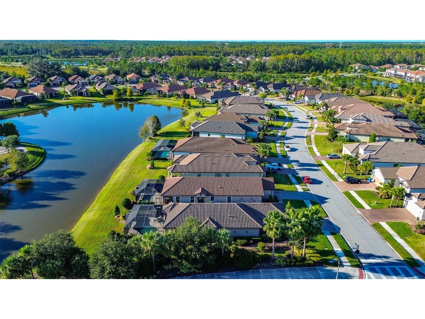 11426 Juglans Drive Odessa FL 33556 W7878845 image49