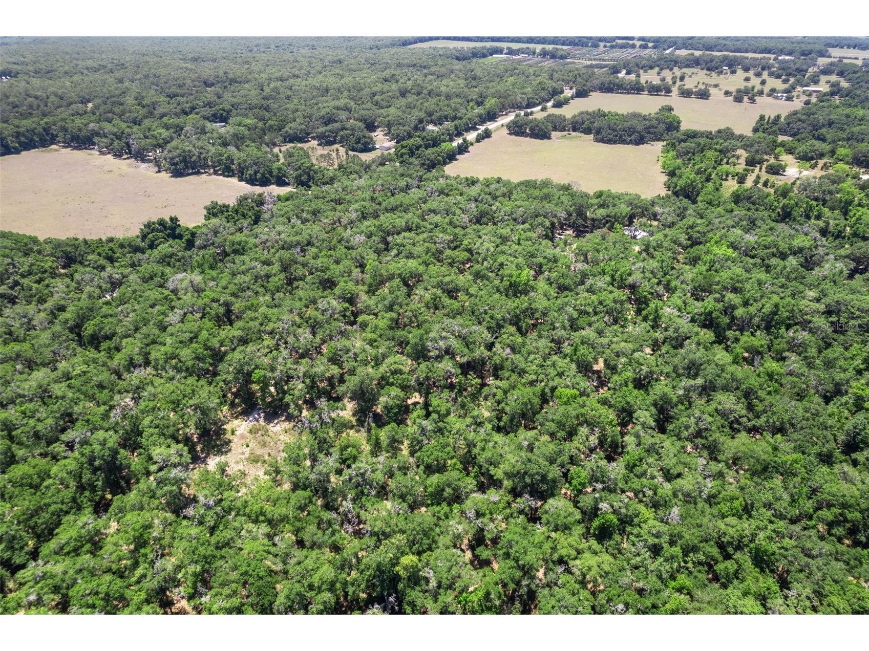 11426 S Pleasant Grove Road Floral City FL 34436 W7876384 image1