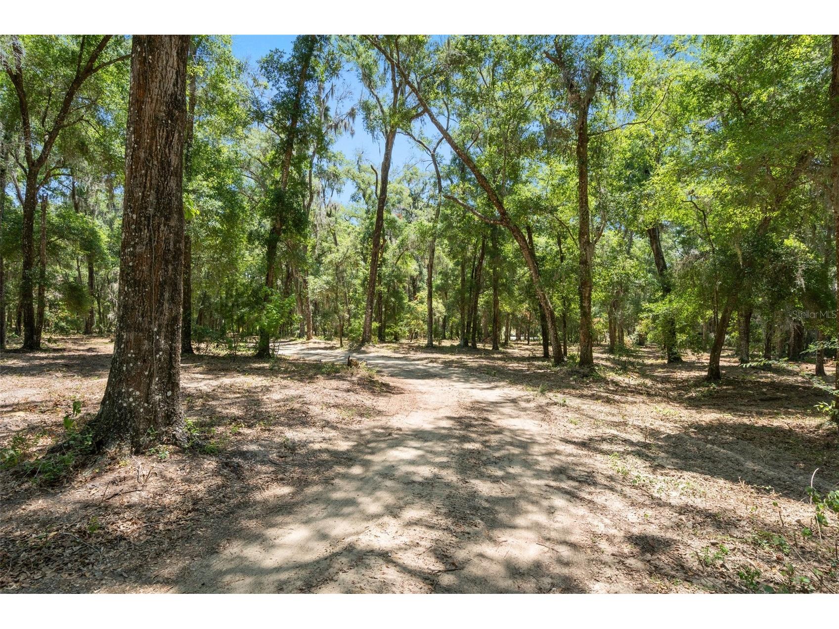 11426 S Pleasant Grove Road Floral City FL 34436 W7876384 image2
