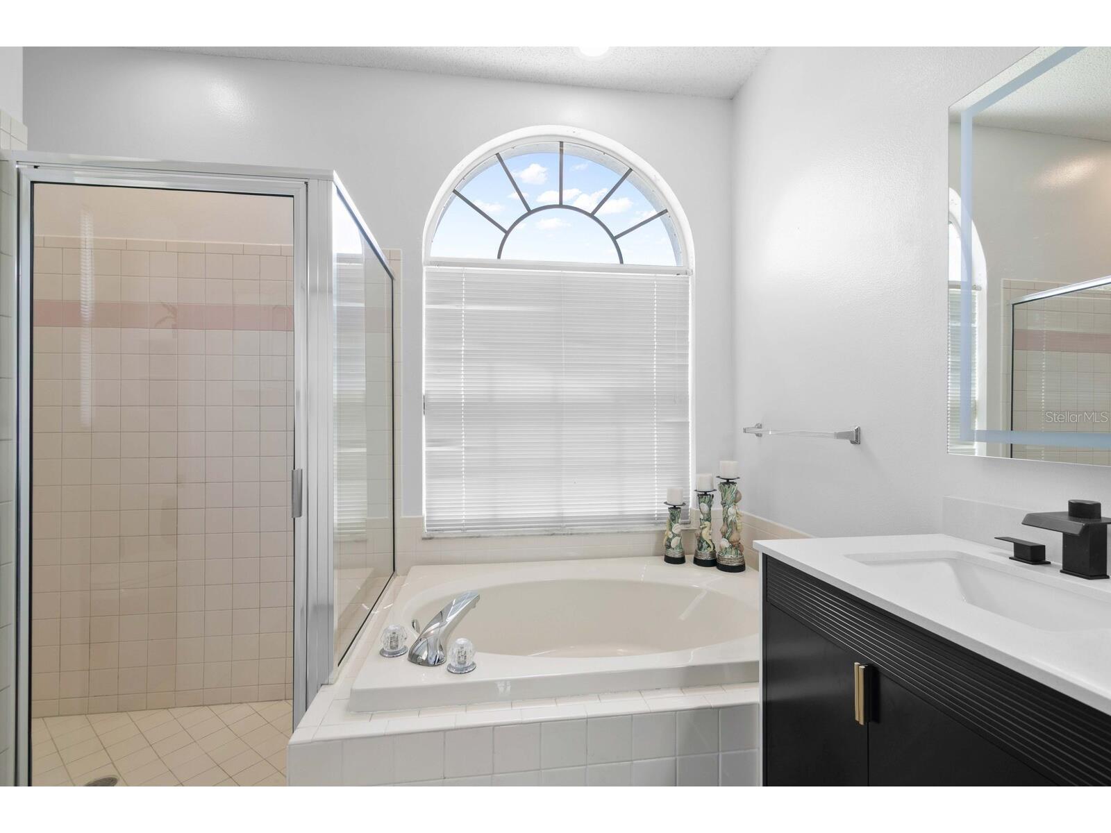 11426 Zenith Circle Tampa FL 33635 TB8511900 image28