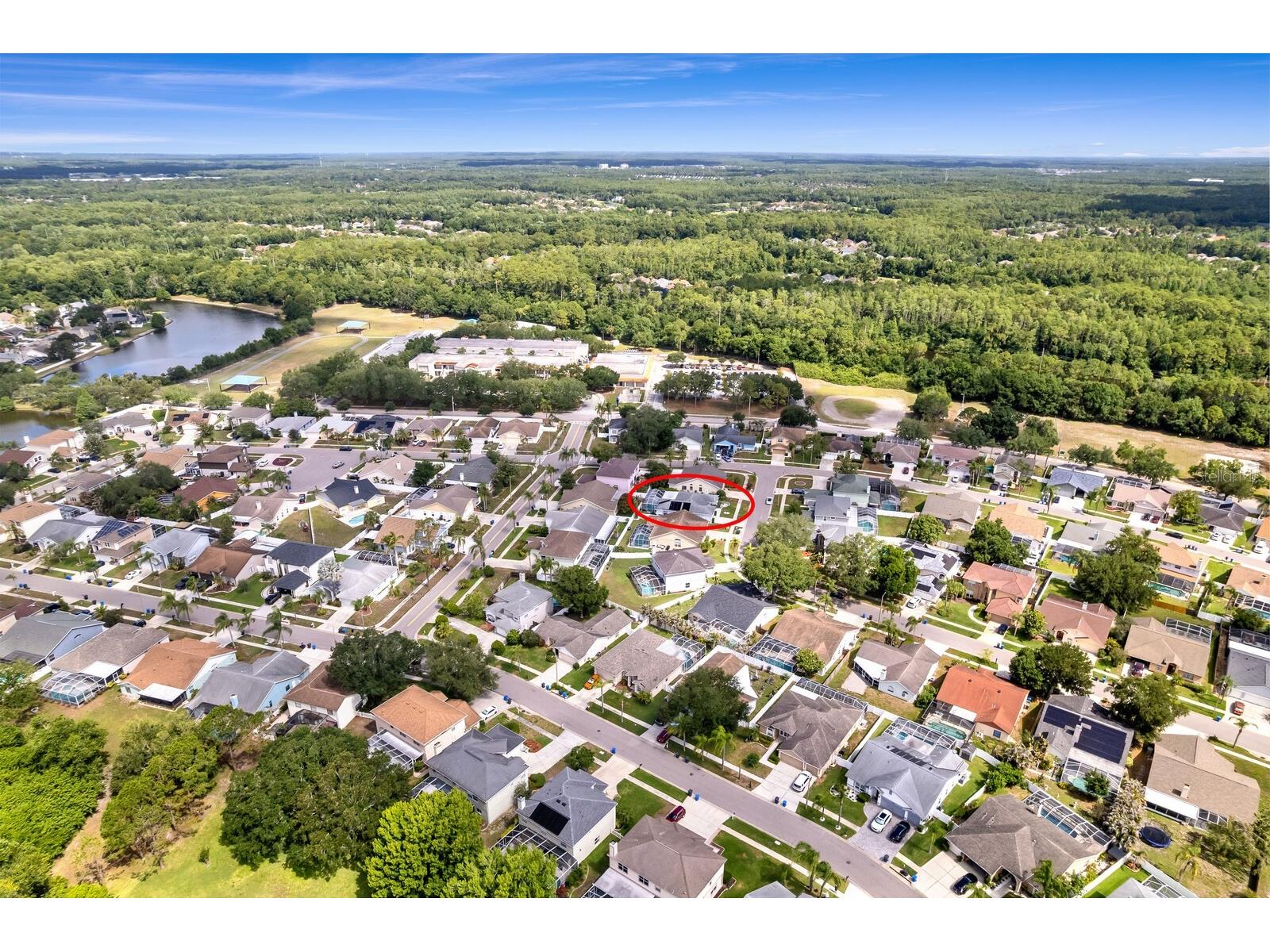 11426 Zenith Circle Tampa FL 33635 TB8511900 image47