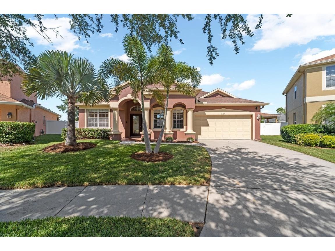 11427 Newgate Crest Drive Riverview FL 33579 T3519487 image1