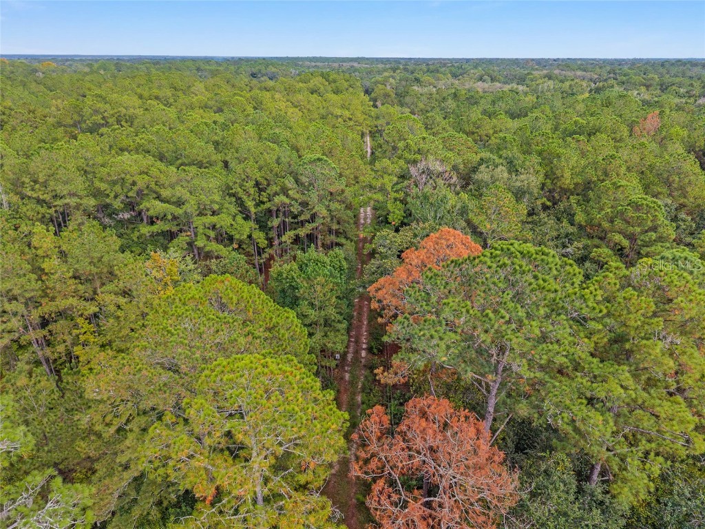 11427 SW 10th Terrace Micanopy FL 32667 O6348904 image76