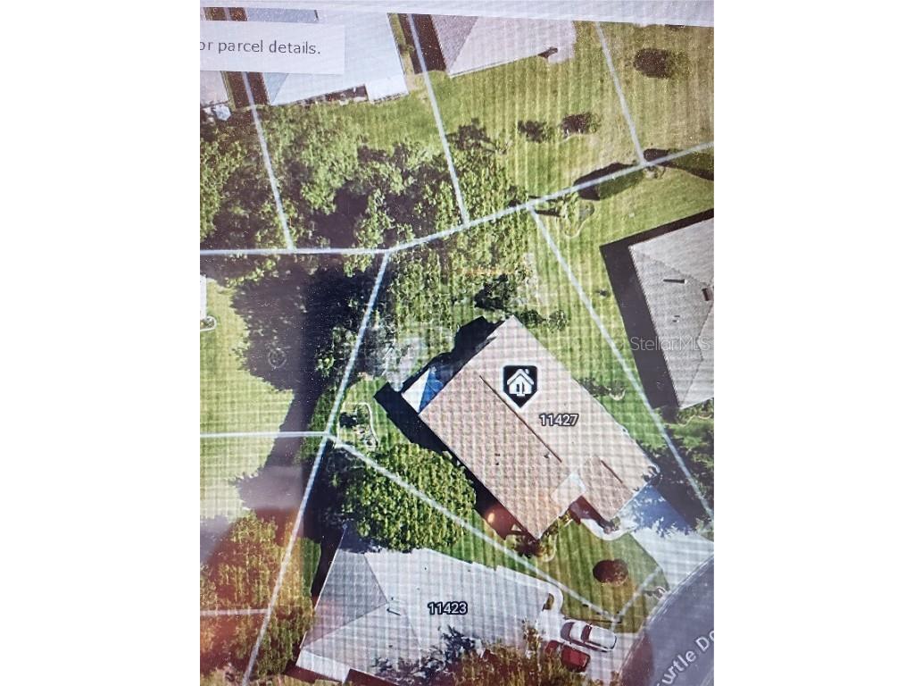 11427 Turtle Dove Place New Port Richey FL 34654 TB8349353 image100