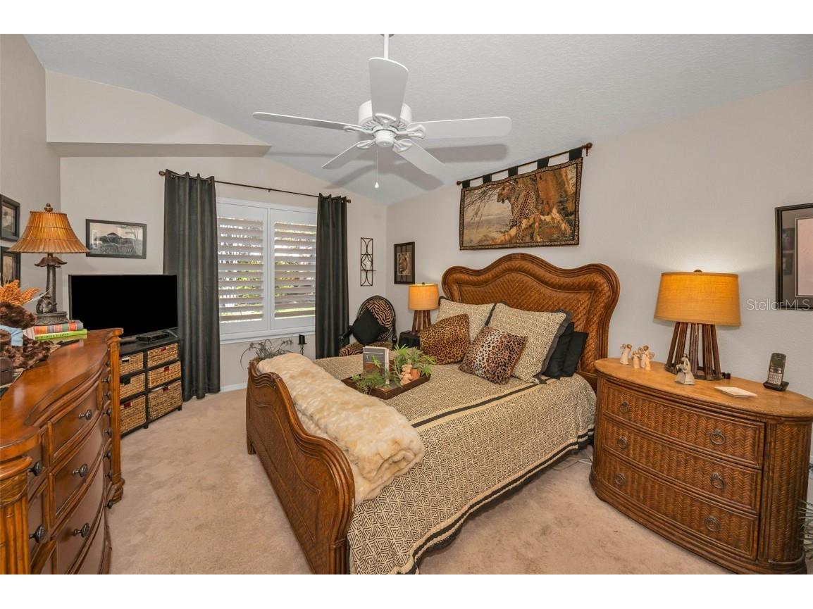 11427 Turtle Dove Place New Port Richey FL 34654 TB8349353 image28