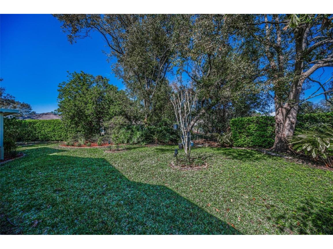 11427 Turtle Dove Place New Port Richey FL 34654 TB8349353 image50