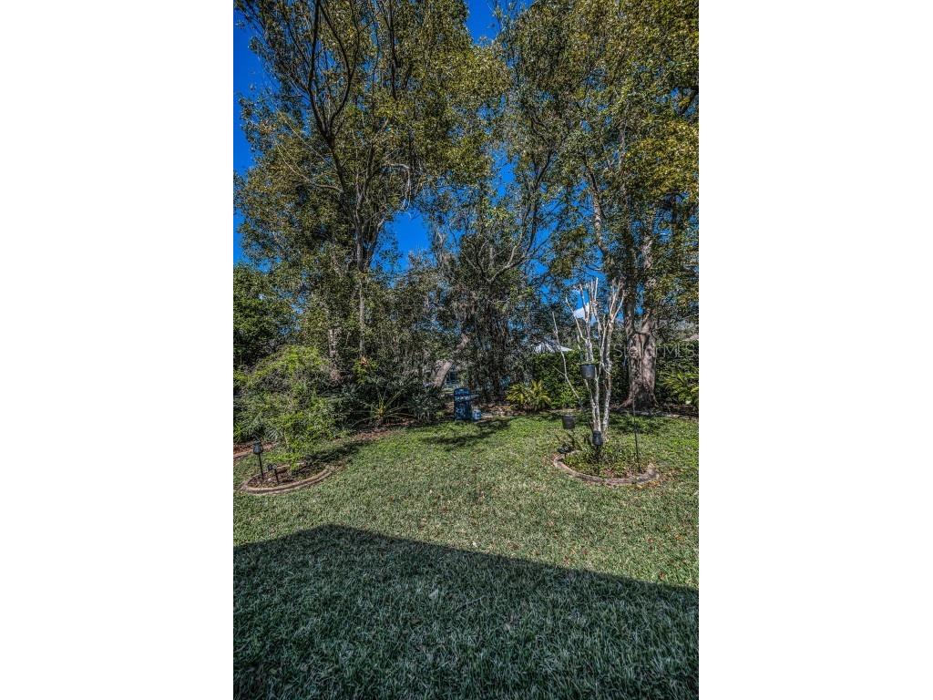 11427 Turtle Dove Place New Port Richey FL 34654 TB8349353 image51