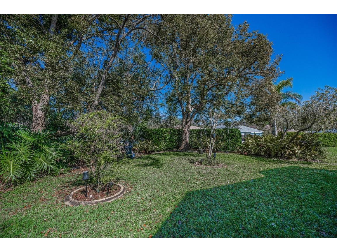 11427 Turtle Dove Place New Port Richey FL 34654 TB8349353 image52