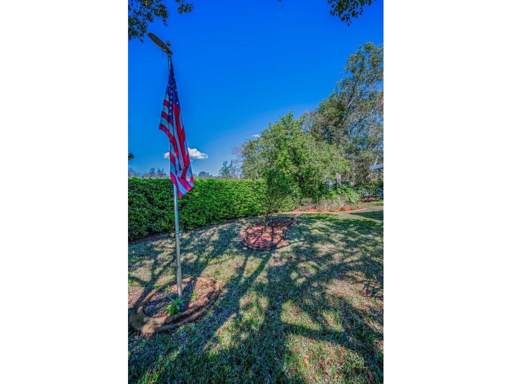 11427 Turtle Dove Place New Port Richey FL 34654 TB8349353 image54