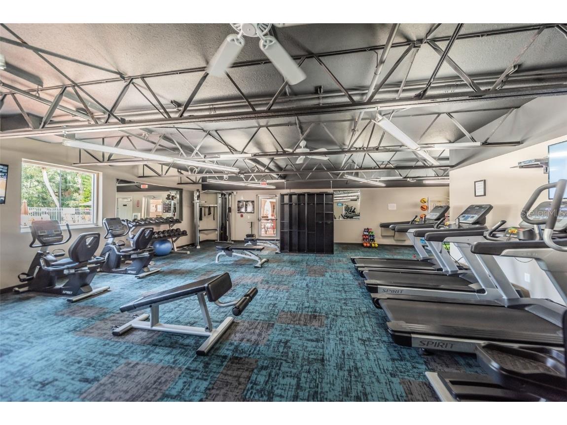 11427 Turtle Dove Place New Port Richey FL 34654 TB8349353 image77