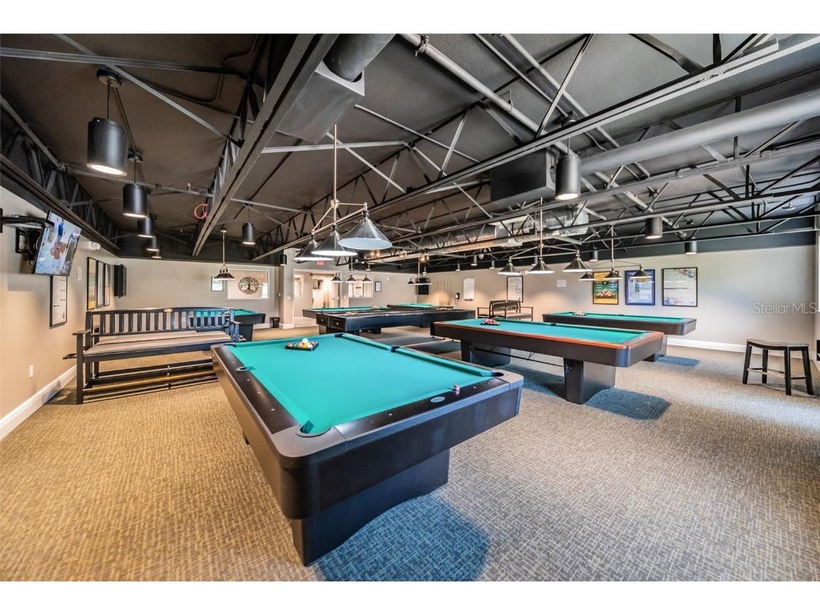 11427 Turtle Dove Place New Port Richey FL 34654 TB8349353 image79