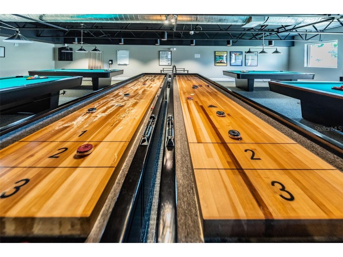 11427 Turtle Dove Place New Port Richey FL 34654 TB8349353 image80