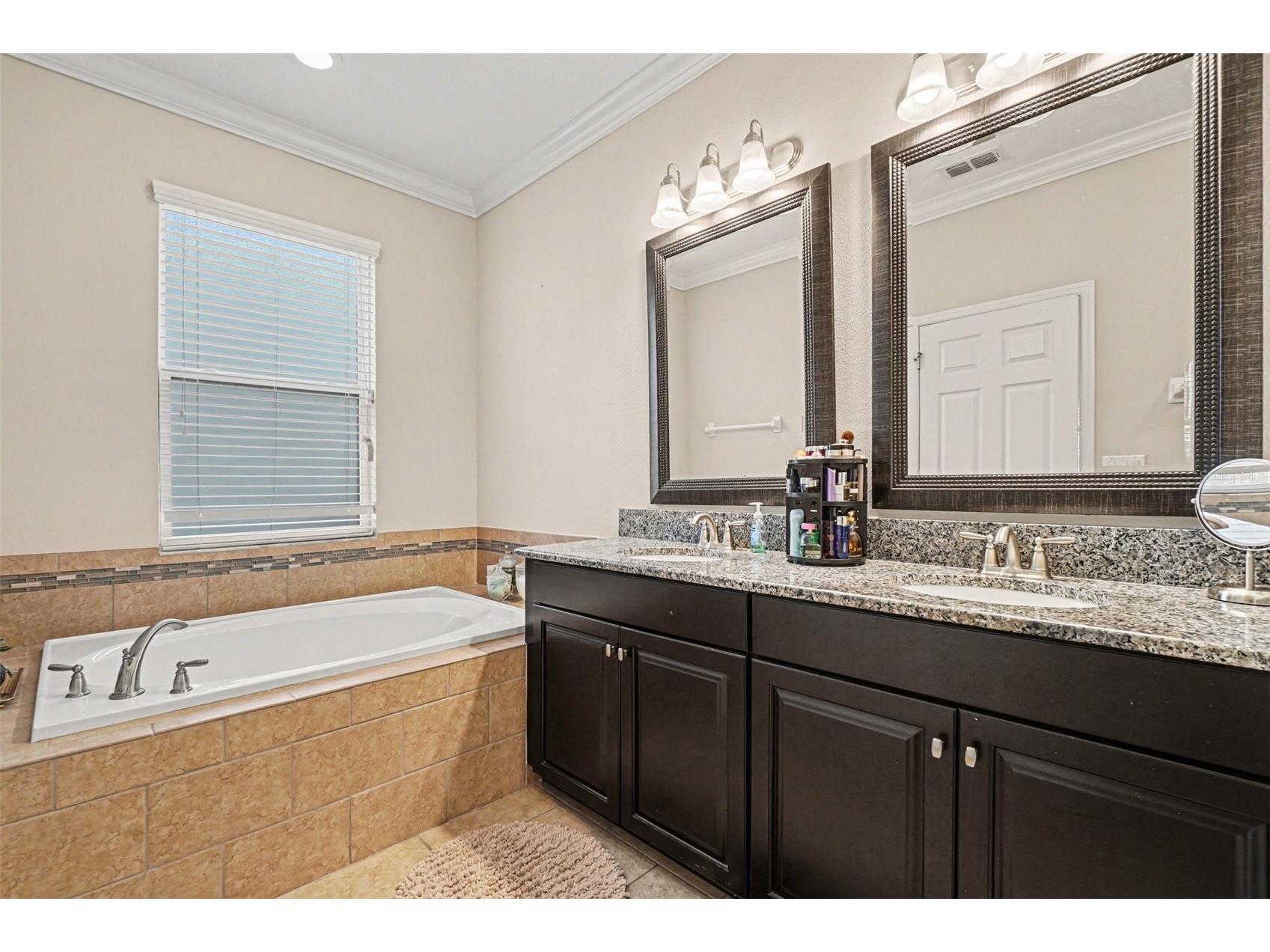 11428 Carlton Fields Drive Riverview FL 33579 TB8494164 image17