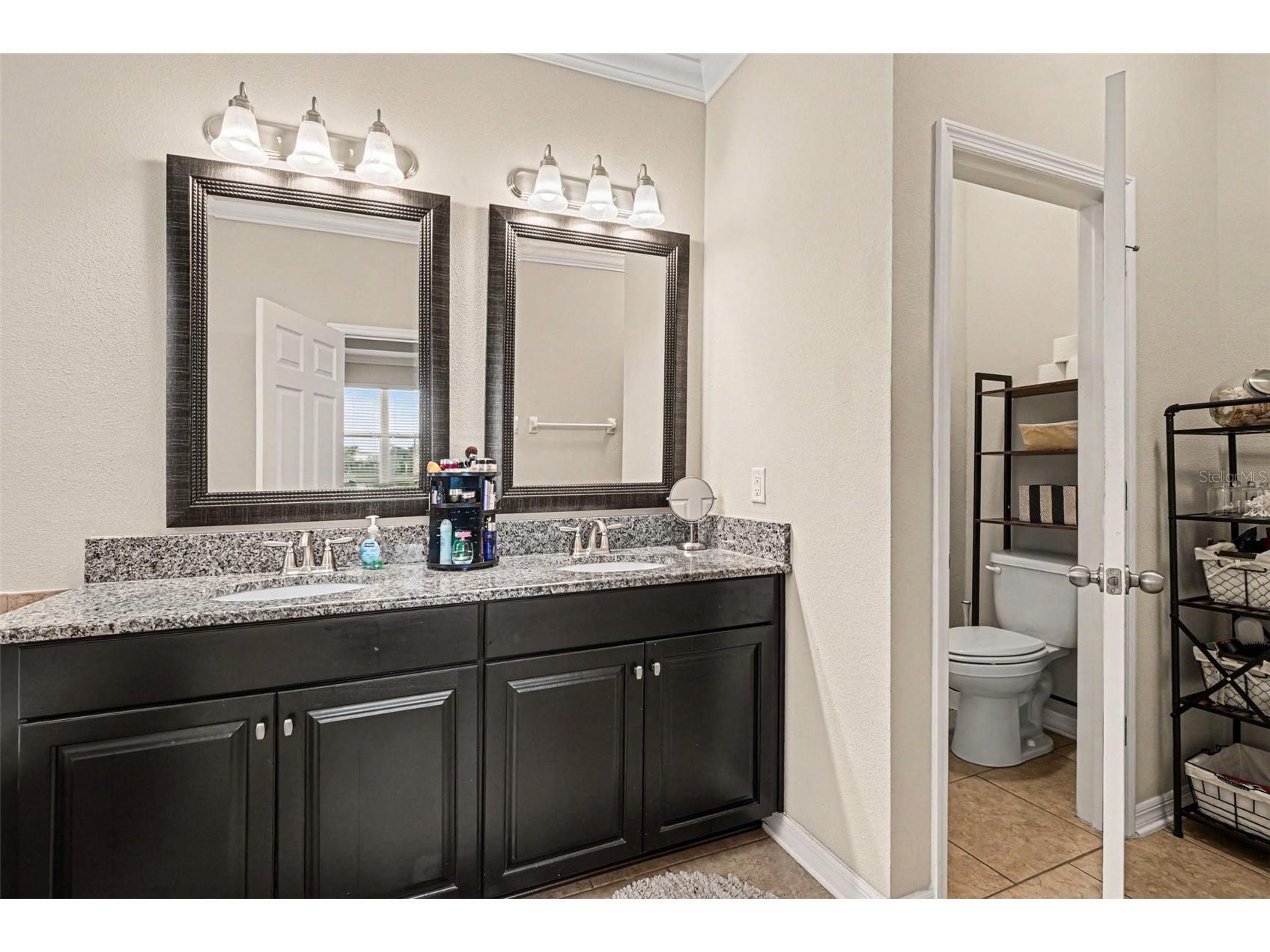 11428 Carlton Fields Drive Riverview FL 33579 TB8494164 image18