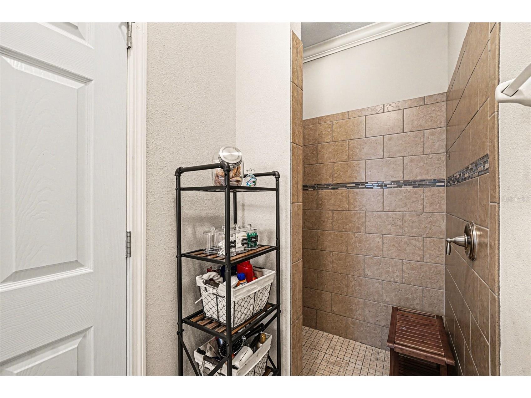 11428 Carlton Fields Drive Riverview FL 33579 TB8494164 image19