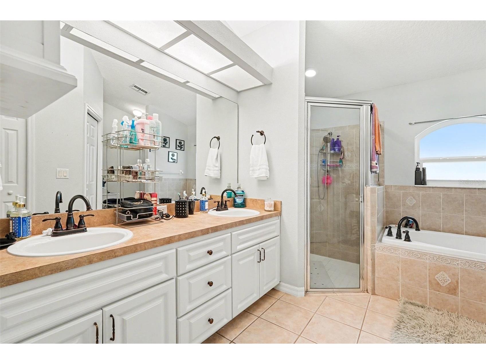 11428 Dorian Court New Port Richey FL 34654 TB8467311 image4